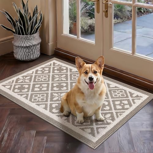 Ileading Indoor Door Mat 2x3ft, Absorbent Muddy Mats for Dogs, Low-Profile Entrance Welcome Mat with Non-Slip Rubber Backing, Washable Runner Carpet for Hallway,Entryway,Kitchen (Beige)