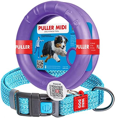 Re-Cotton Dog Collar Blue 10" - 16" Neck/Puller Dog Toy Midi