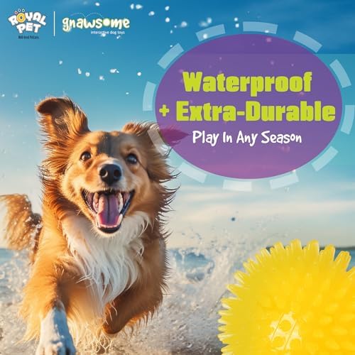 Gnawsome™ 3.5” Spiky Squeak & Light Ball Dog Toy - Medium, Cleans Teeth and Promotes Good Dental and Gum Health for Your Pet, Colors will vary, 3.5"