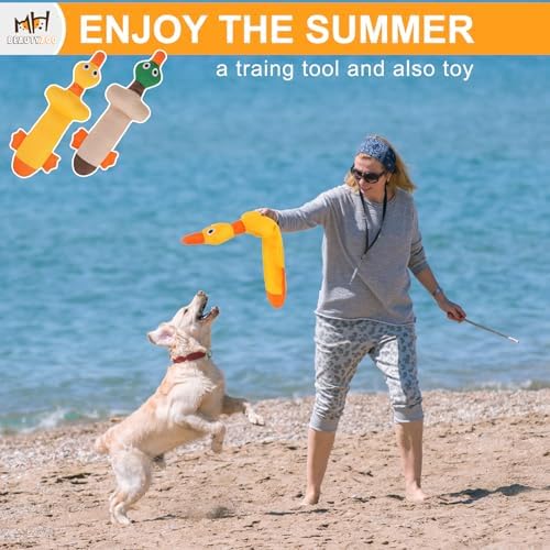 BEAUTYZOO Floating Dog Pool Toys 2 Pack,Squeaky Water Fetch Toys for Summer