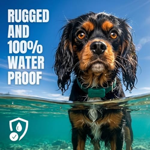 FitBark 2 Dog Activity Monitor | Health & Fitness Tracker for Dogs | Waterproof, Small & Leightweight (10 g) | Not a GPS Tracker