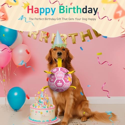 QDAN Dog Birthday Toys, Puppy Gifts, Dog Soccer Ball with Straps, Pink | 8 Inch Outdoor Herding Balls for 30-90 lbs Dogs, Interactive Training Soccer Toy for Tug of War, Dog Ball to Keep Them Busy