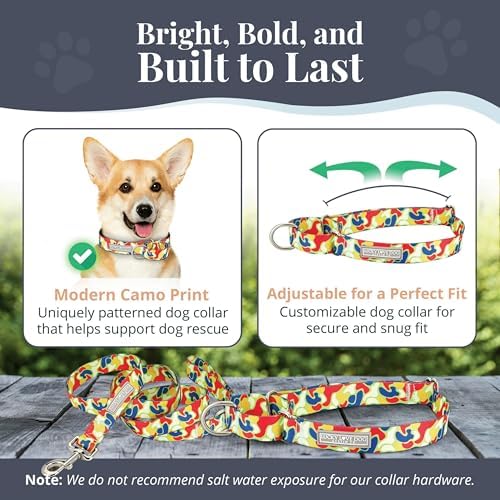 Lucky Love Dog Martingale Collar & Leash Set No Slip Cute – Oscar, Small