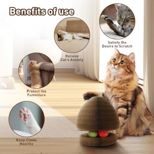 Cat Toys for Indoor Cats, Kitty Magic Organ Scratching Board, Reversible Interactive Cat Toys Scratching, Cardboard,Kitten Scratcher Pads with Catnip Ball(2PCS)