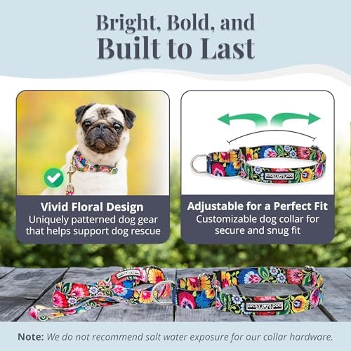 Lucky Love Dog Martingale Collar & Leash Set No Slip – Blackbird, Large
