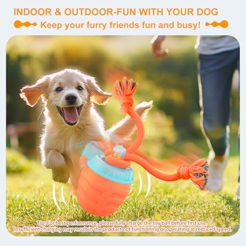 Interactive Dog Toy, [Newly Upgraded] Motion Activated Rolling Ball for Small Dogs, Automatic Moving Dogs Ball for Boredom, USB Rechargeable(Orange)
