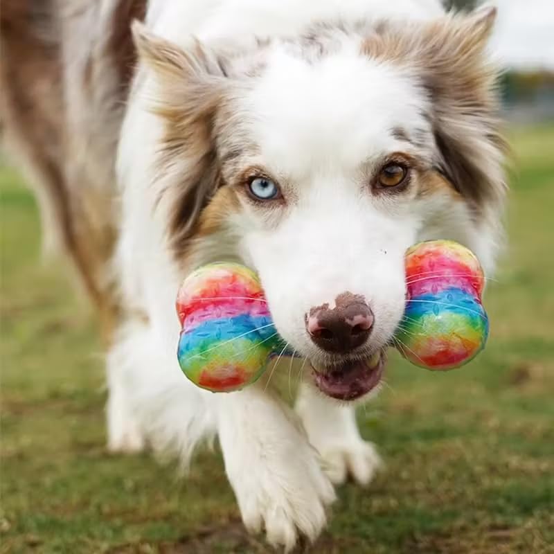 Soft TPR Rainbow Bone Dog Chew Toy, Squeaky Interactive Play Toy for Small & Medium Dogs, Gentle Chew & Teething Relief, 4.72 Inch