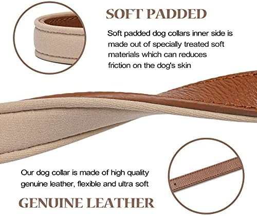 Leather Dog Collar for Small Medium Large Dogs Soft Waterproof Padded Puppy Collars
