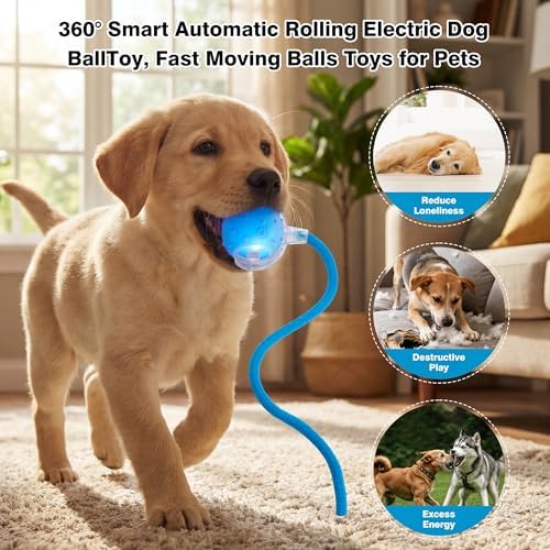 ZUAMEGUPetToy, Interactive Cat & Dog Ball Toy with Bird Sounds, Rechargeable 360° Smart Auto-Rolling Electric Pet Ball Toy (with Leash), Suitable for Indoor & Outdoor Use (Blue)