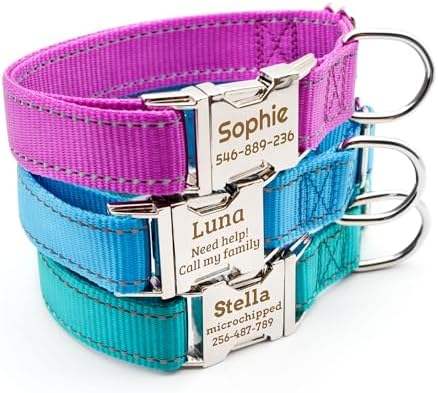 Personalized Reflective Dog Collar - Custom Pet Name, Phone Number & Address Engraving, Adjustable Sizes XS/S/M/L/XL, Optional Leash & Airtag Holder for Small/Medium/Large Dogs