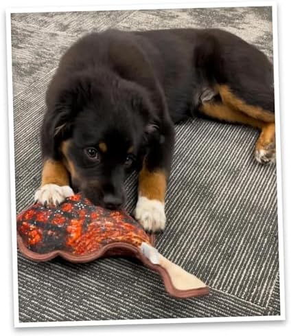 Doggijuana Tomahawk Steak & Grilled Kebab Dog Toy Bundle | 2 Pack, Squeaky