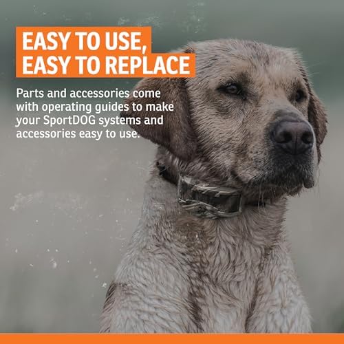 SportDOG UplandHunter Accessory Beeper, SD-1875 Compatible, 500 Yd Range