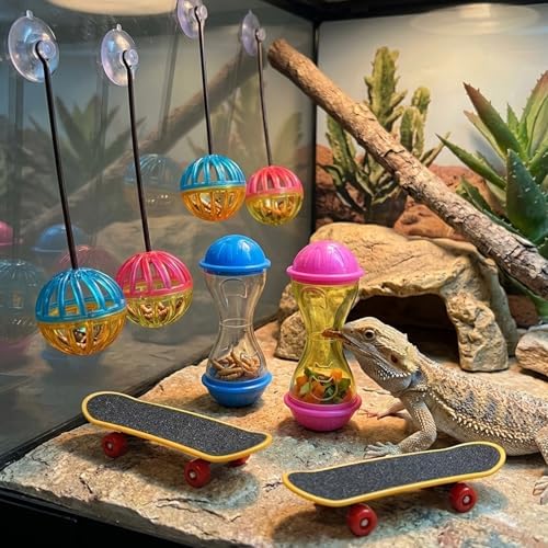 Bearded Dragon Toys, Bearded Dragon Enrichment Toys Set with Feeding Balls and Skateboards, Interactive Lizard Toy Accessories for Small Reptiles and Pets, 8-Piece Habitat Enrichment Kit