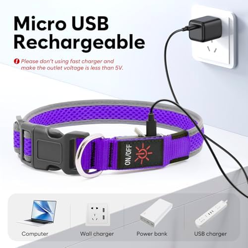Flashseen LED Light Up Dog Collar, USB Rechargeable, Purple, L