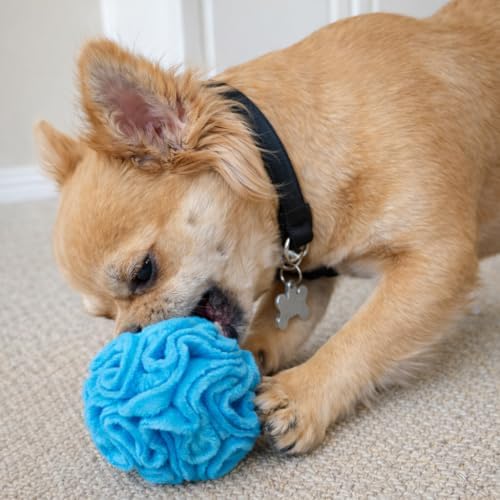 Glory To Dog Puppy/Small Breed Snuffle Dog Puzzle Ball Toy Blue Extra Small