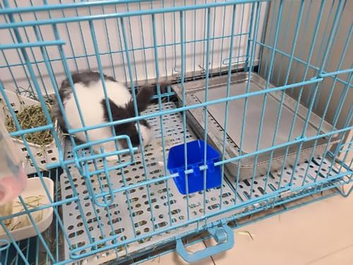 Pack of 10 Cage Cups Birds Feeders Seed Bowl Chicken Feeding Watering Dish Rabbit Water Food Hanging Wire Cages Box 16 oz Coop Cups for Pet Parrot Parakeet Game Fowl Poultry Pigeon