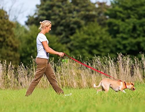 Taglory 14"-20" Dog Collar and 6 FT Dog Leash Set, Highly Reflective Threads Dog Leash, Adjustable Reflective Dog Collar with Safety Locking Buckle for Medium Dogs