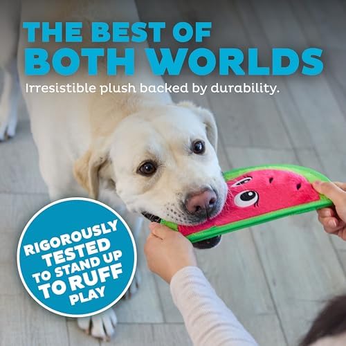 Outward Hound Tough Skinz Durable Chew Squeaky Dog Toy, Watermelon, 9.8"