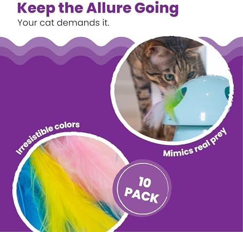 Catstages Dart N' Dash Replacement Feathers for Cat Track Toy – 10 Pack of Colorful Feathers for Interactive Play, Teasing & Mental Stimulation