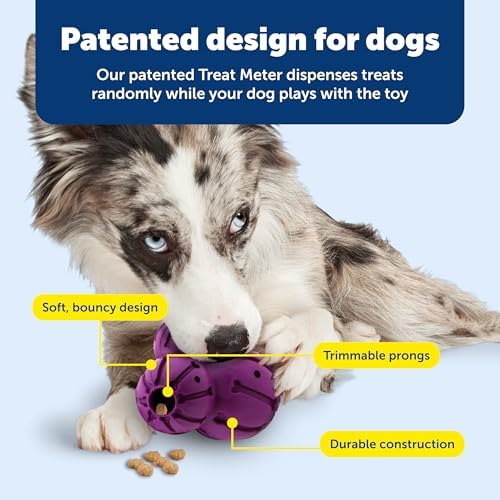 PetSafe Busy Buddy Barnacle Treat Dispensing Dog Toy, Medium | 3 Treat Meter Prongs Randomly Dispense Kibble, Bone-Shaped Grooves Hold Spreadable Treats Like Peanut Butter