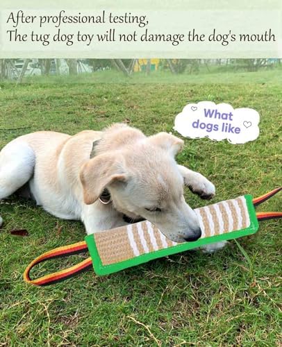 Clysoru Dog Tug Toy Tough Jute Bite Pillow Lasting Training Equipment Puppy to Large Dogs Interactive for Large and Small