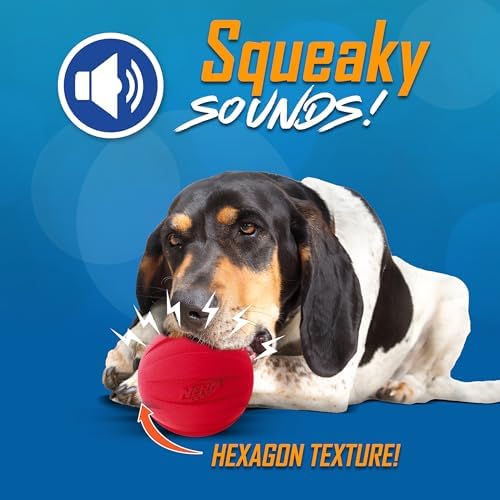 Nerf Dog Classic Squeak Ball Outdoor Dog Toy, 3.8 Inch Dog Ball Fetch Toy, Squeaking Toy for Medium and Large Breeds, Green/Red, 2 Count