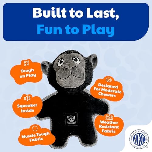 American Kennel Club Plush Dog Toy with Squeaker for Moderate Chewers, Soft Stuffed Dog Toy for Tugging, Fetch & Interactive Play, Gentle on Teeth