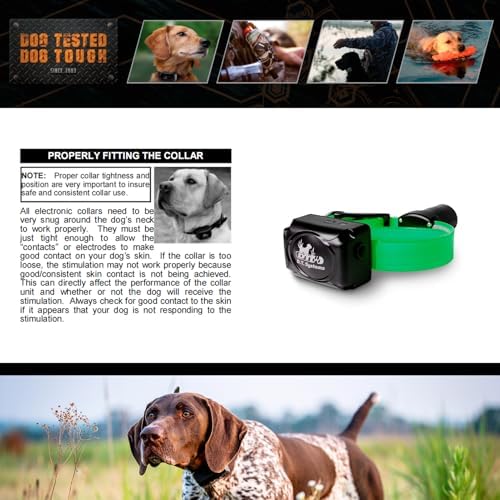 DT SYSTEMS RAPT1450 Upland Beeper Additional Collar Receiver for RAPT1450 Dog Training System, Rechargeable Programmable 12-23" Adjustable Add-On E-Collar - Green