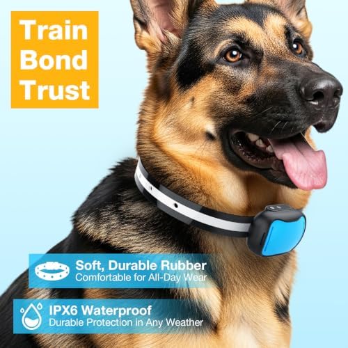 MASBRILL In-Ground Fence for 2 Dogs – Waterproof Rechargeable Collars