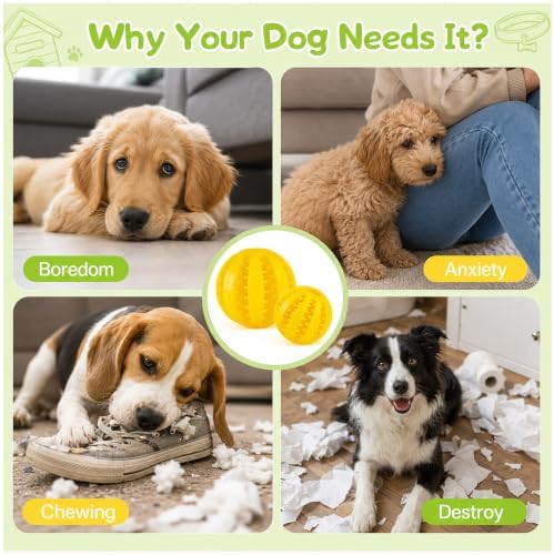 GASHIK Dog Treat Ball for Dogs, Rubber Dental Chew Toy for Dogs