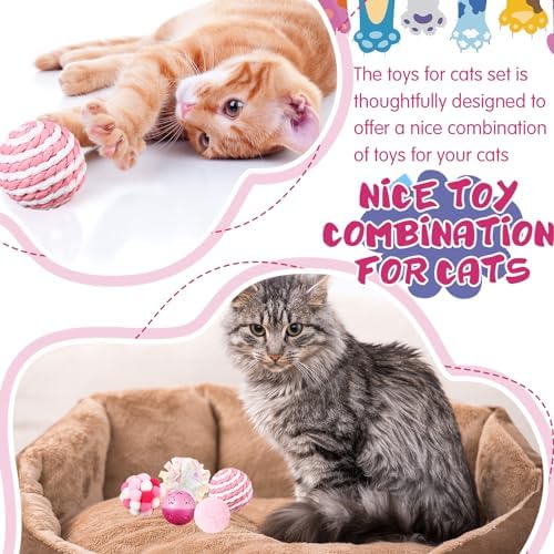 Gemscream 46 Pcs Cat Toys Set Interactive Cute Cat Indoor Toys, Pink