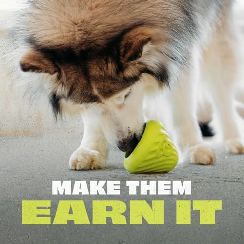 Benebone Dog Toy Bundle – Medium Wishbone Chew (Real Bacon) + Natural Rubber Cone Treat Dispenser – Durable, Made in USA, Great for Aggressive Chewers & Mealtime Enrichment