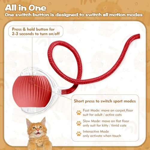 Interactive Cat Ball Toys for Indoor Cats, Upgraded Automatic Cat Toys