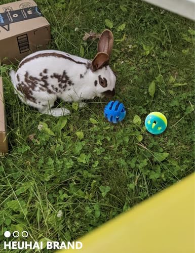 10 Pack Rabbit Toys for Bunnies - Safe, Fun and Long-Lasting Toys