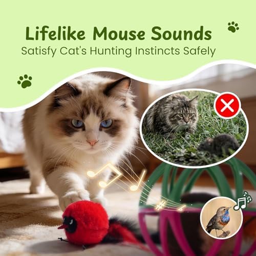 Cat Toys for Indoor Cats - Interactive Ball Cage Cat Toy with Realistic Bird Sounds & 2 Catnip Plush Toys, Motion-Activated Hunting Simulation Toy for Cats
