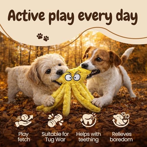 Squeaky Dog Toys – No-Stuffing Crinkle Plush, Durable Puppy Teething & Interactive Play, 2-Pack