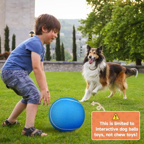 QDAN Dog Tennis Balls, Large Big Dog Toys, Herding Ball for Dogs, 9.5 Inch