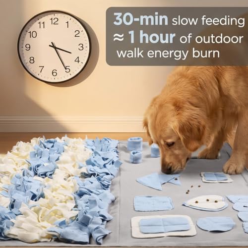 Snuffle Mat for Dogs: Slow Food Interactive Experience