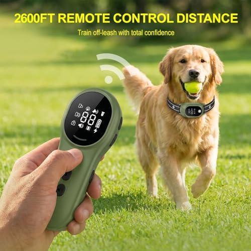 Dog Shock Collar with Remote Control, Shock Collar for Dogs,Green