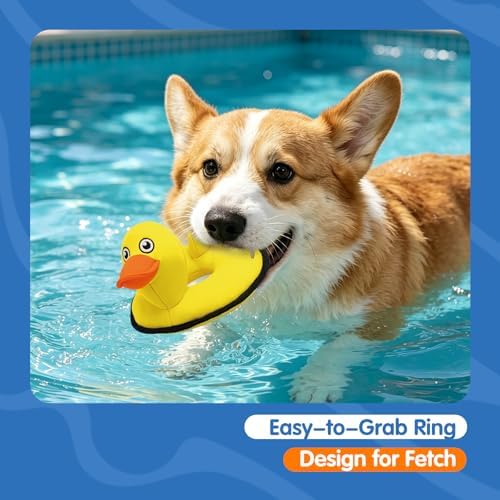 Floating Duck Dog Toy, Squeaky Water Pool Toy for Small Medium Dogs