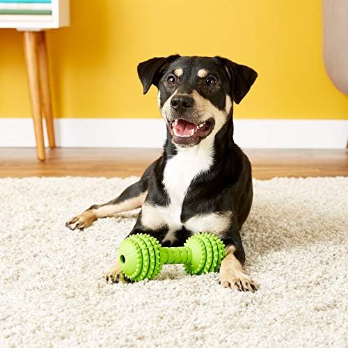 JW Pet Chompion Heavyweight Dog Chew Toy for Medium Breeds, Assorted Colors