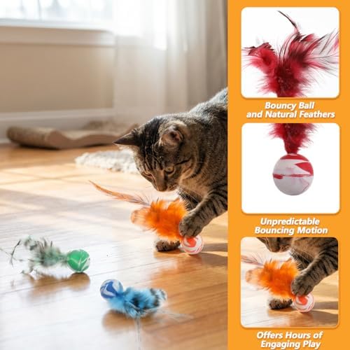 5 Pcs Feather Cat Toy, Cat Toy Balls with Natural Feathers, Interactive Indoor Cats Toys for Playful Kittens, Feather Bouncy Balls for Cats