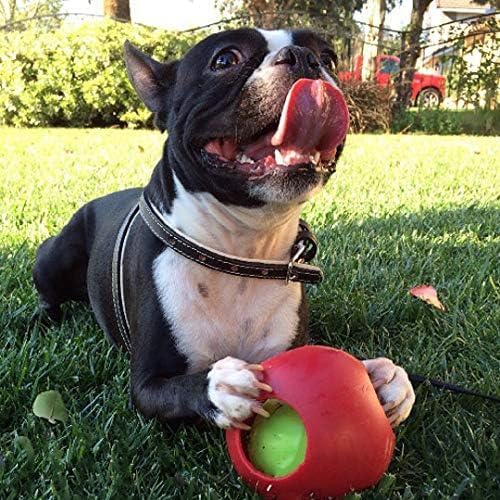 Jolly Pets Teaser Ball Interactive Dog Toy, 4.5 in Small, Red