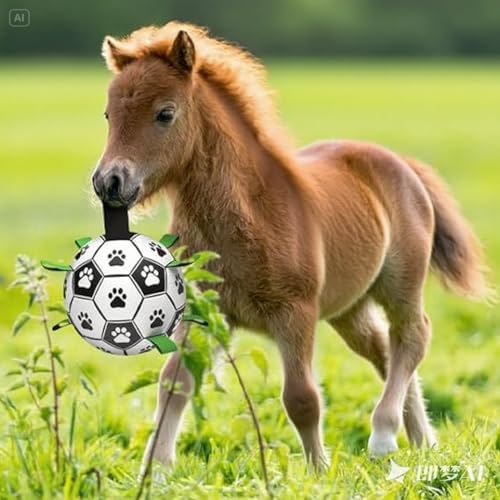 Amasiver Dog Soccer Ball Toys, 9'' World Cup Dog Soccer Ball with Straps, Dogs Birthday Gifts, Water Toy, Herding Ball, Durable Balls for Large XLarge Pet, Outdoor Dog Toy (9 Inch-XLarge)