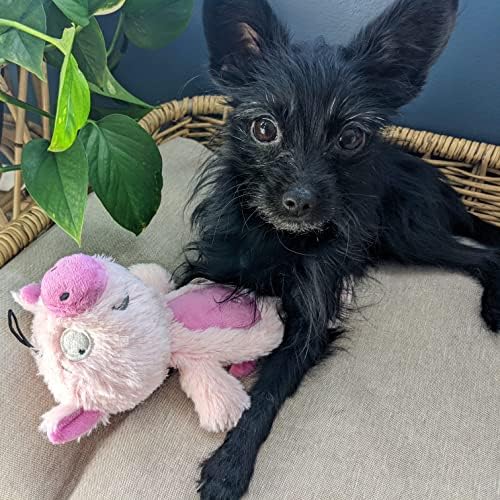 Huxley & Kent Slappies Plush Dog Toy, Piggie Smalls, Small