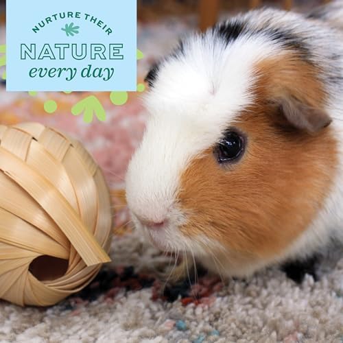 Oxbow Run & Rattle, Rabbit & Guinea Pig Chew Toy, Bunny Enrichment Toy