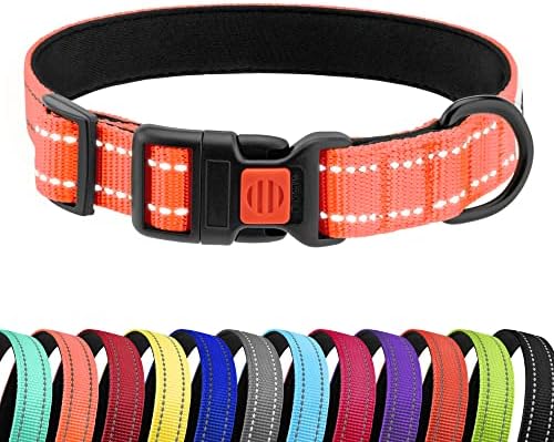 Reflective Dog Collar, Quick-Release Buckle (Coral, 18-26 Inch)