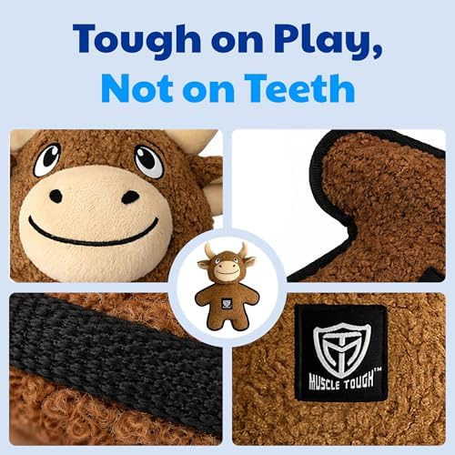 American Kennel Club Plush Dog Toy with Squeaker for Moderate Chewers, Soft Stuffed Dog Toy for Tugging, Fetch & Interactive Play, Gentle on Teeth