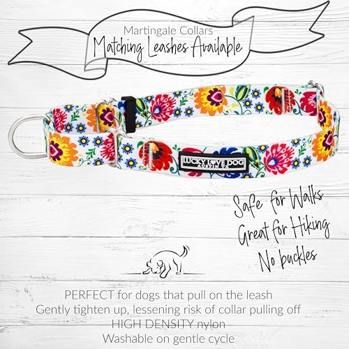 Lucky Love Dog Martingale Collar & Leash Set No Slip Cute – Ladybird, Small