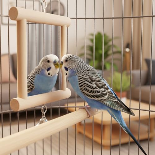 Hypeety Pet Bird Mirror with Bell Interactive Parrot Toy for Small Birds